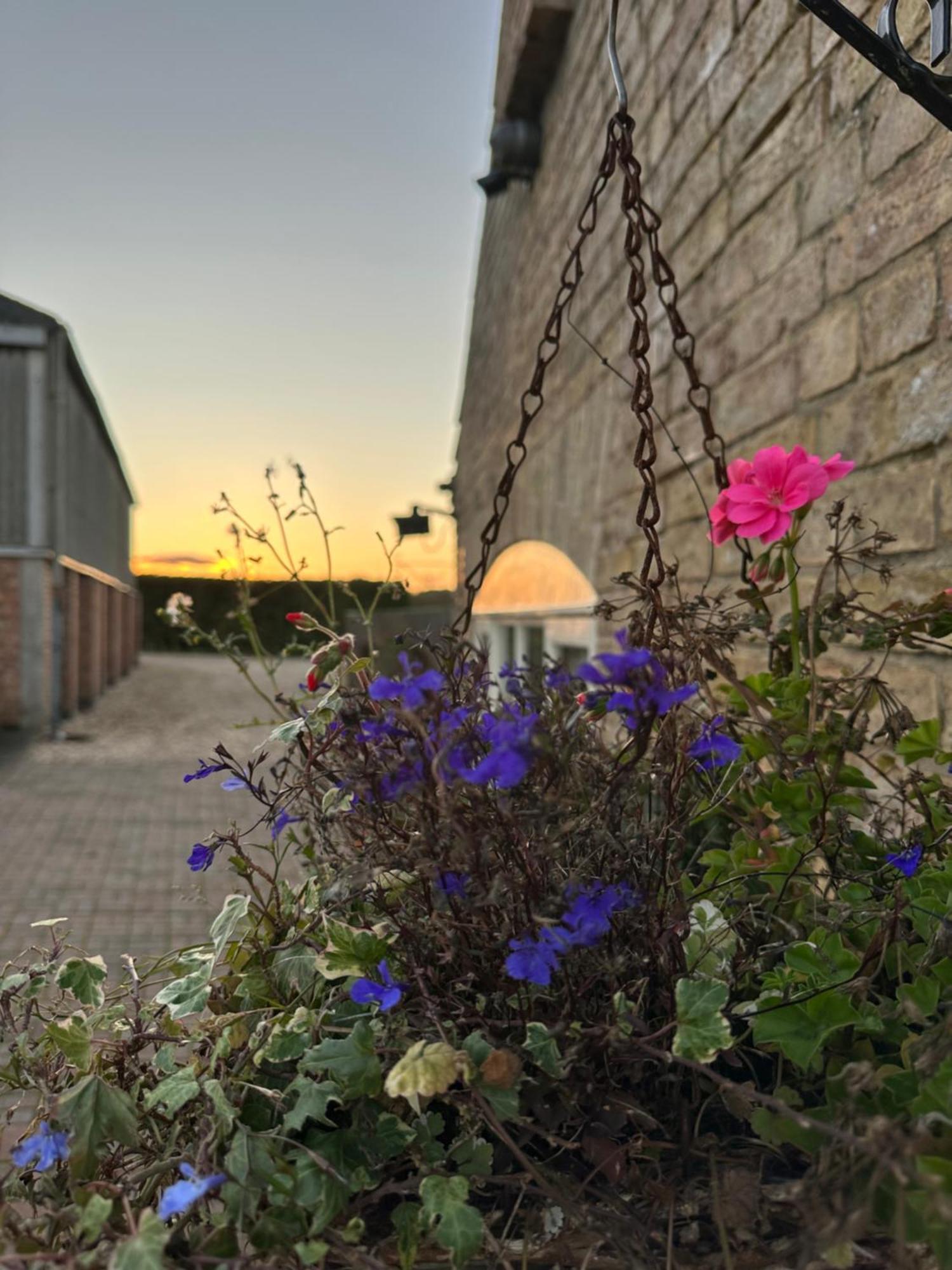 Charming Hen Cottage Countryside Retreat Lincoln Newball Exterior photo
